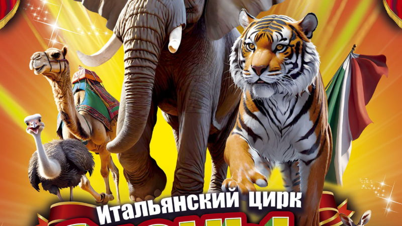 «Итальянский цирк: слоны и тигры» в Цирке на Фонтанке
